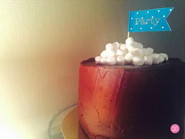 layer cake 3 chocolats