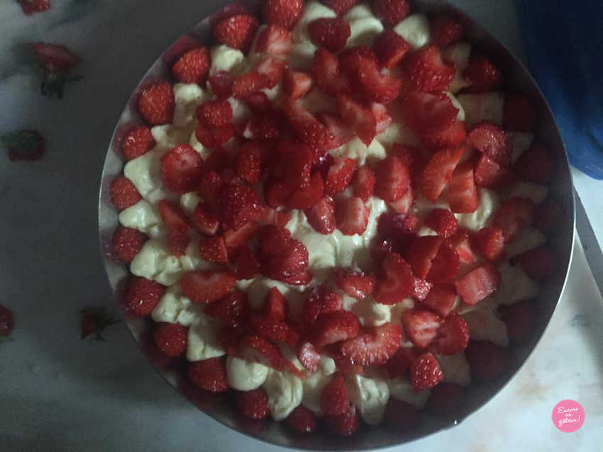 fraisier
