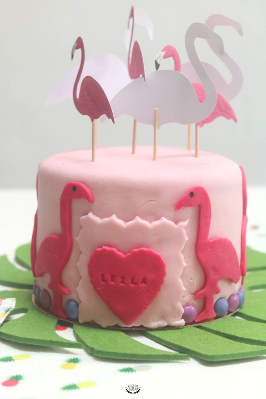 Gateau Flamant Rose Rainbow Cake Rose A La Framboise