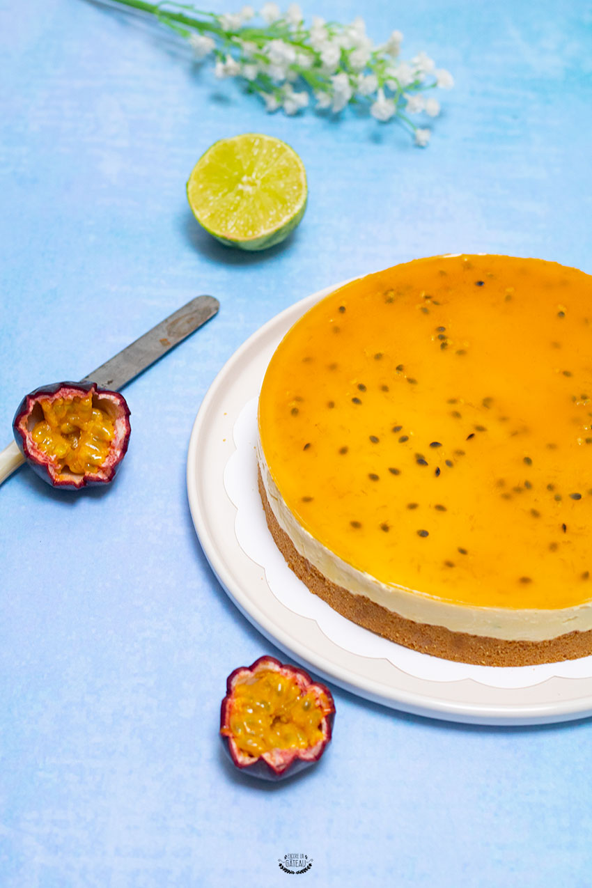 recette facile de cheesecake mangue passion