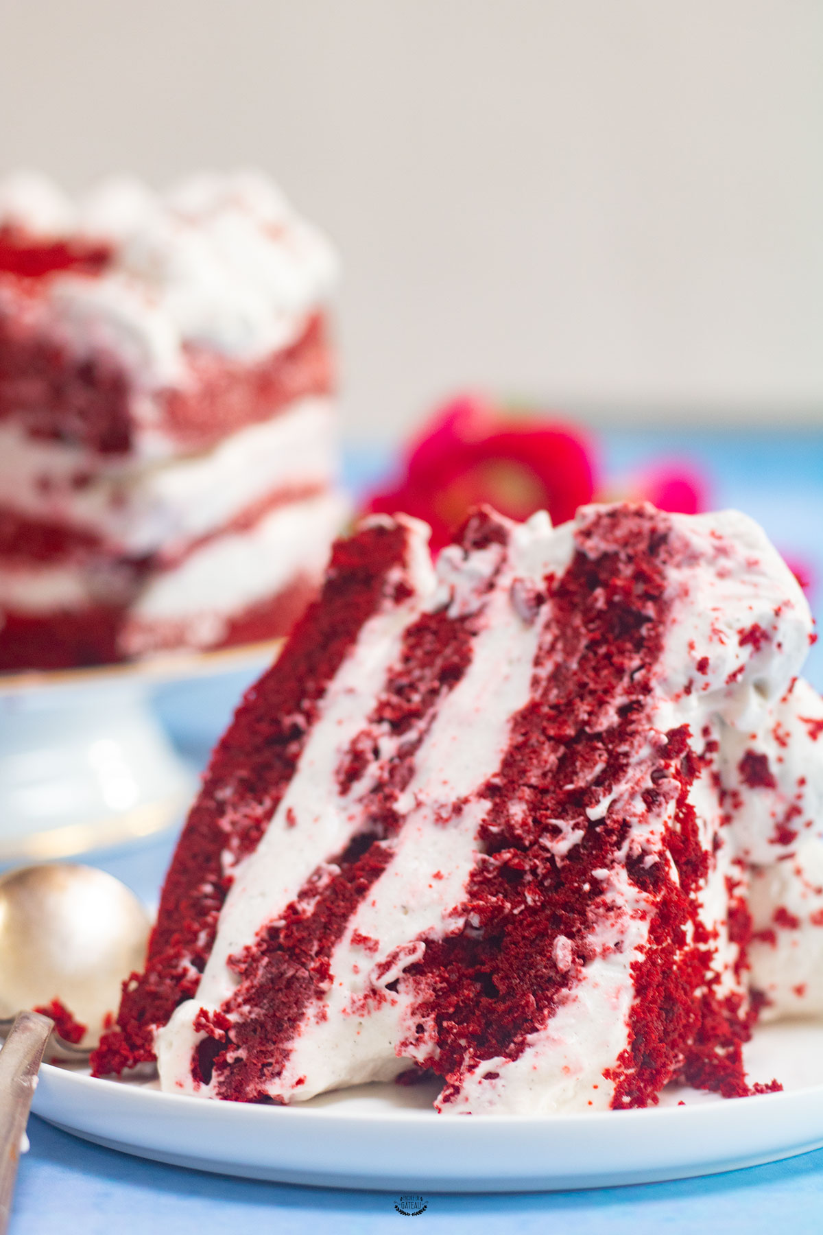 Red Velvet Cake Recette Facile