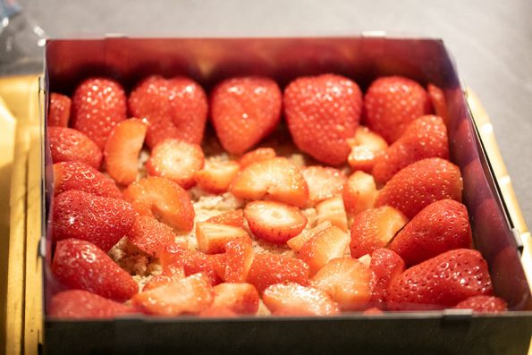 fraises fraisier benghanem